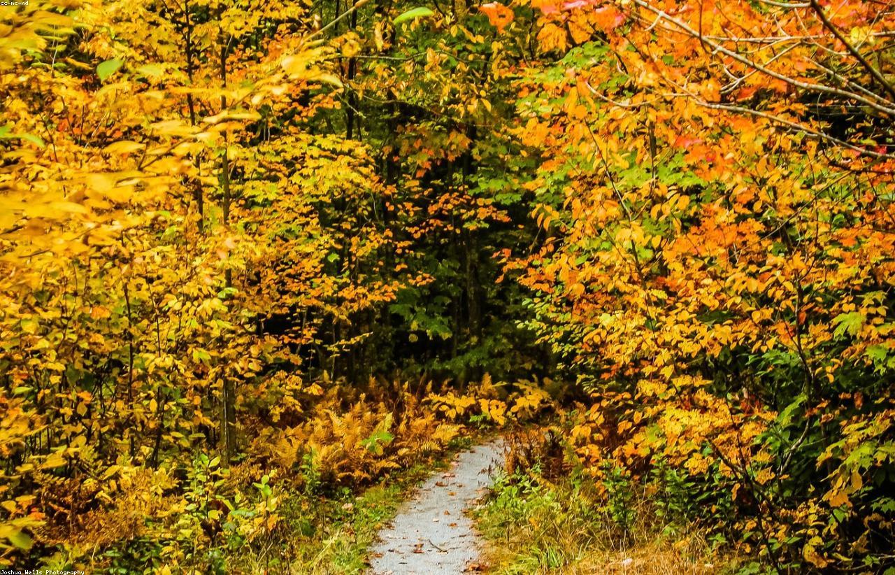 کلبه ییلاقی قلعه‌رودخان فومن